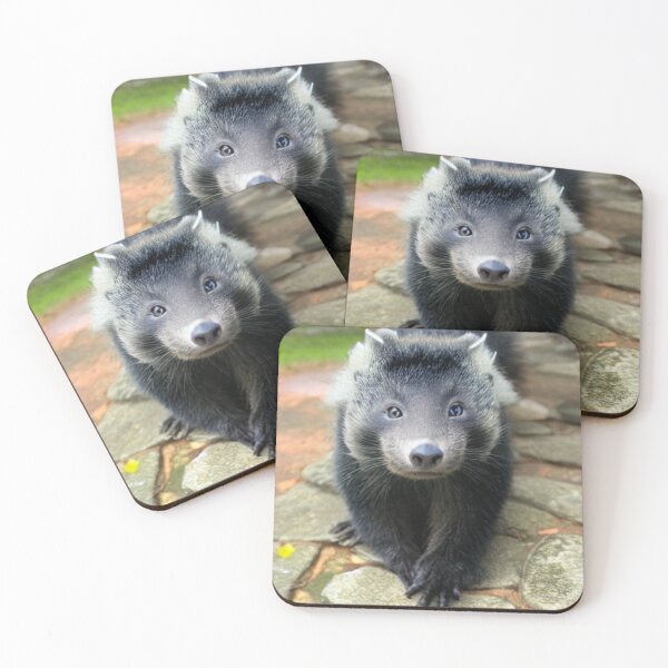 Item preview, Binturong aka Bearcat designed and sold by pugmom4.