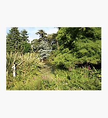 Altamont Gardens Photographic Print