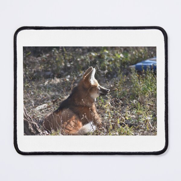 Item preview, Maned Wolf designed and sold by MarieDarcy97.