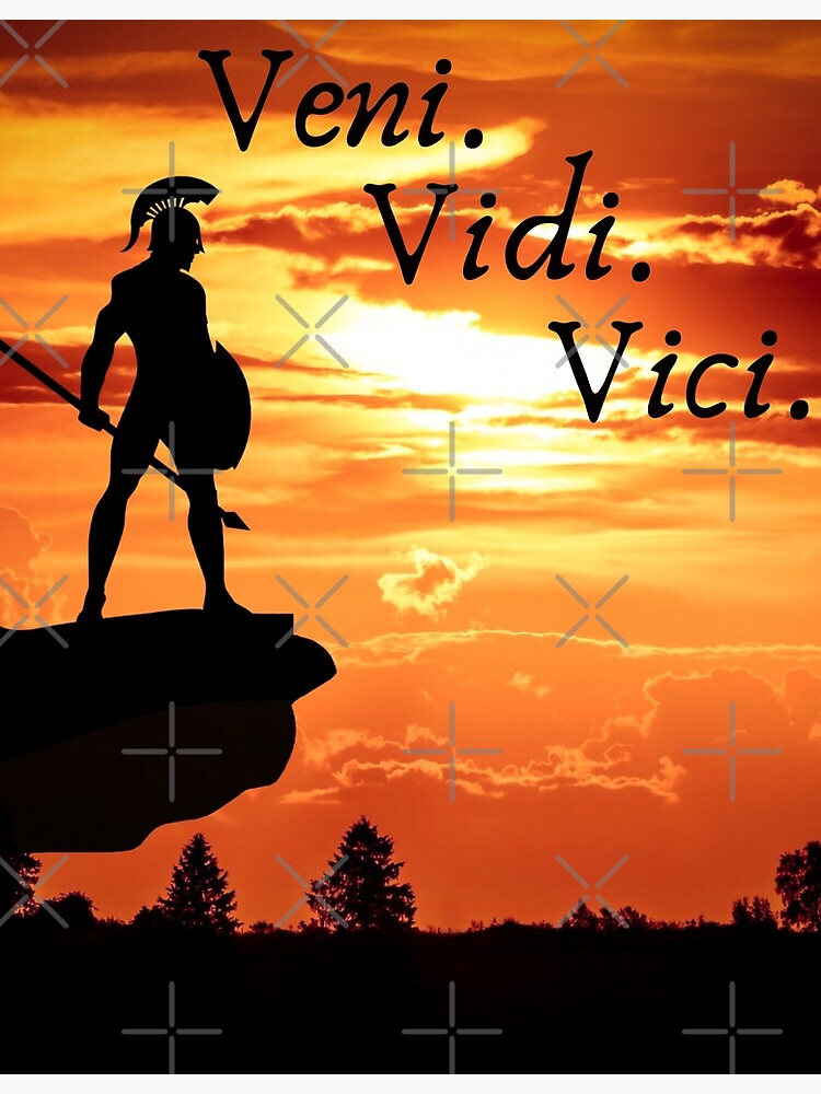 Veni Vidi Vici Posters - CafePress