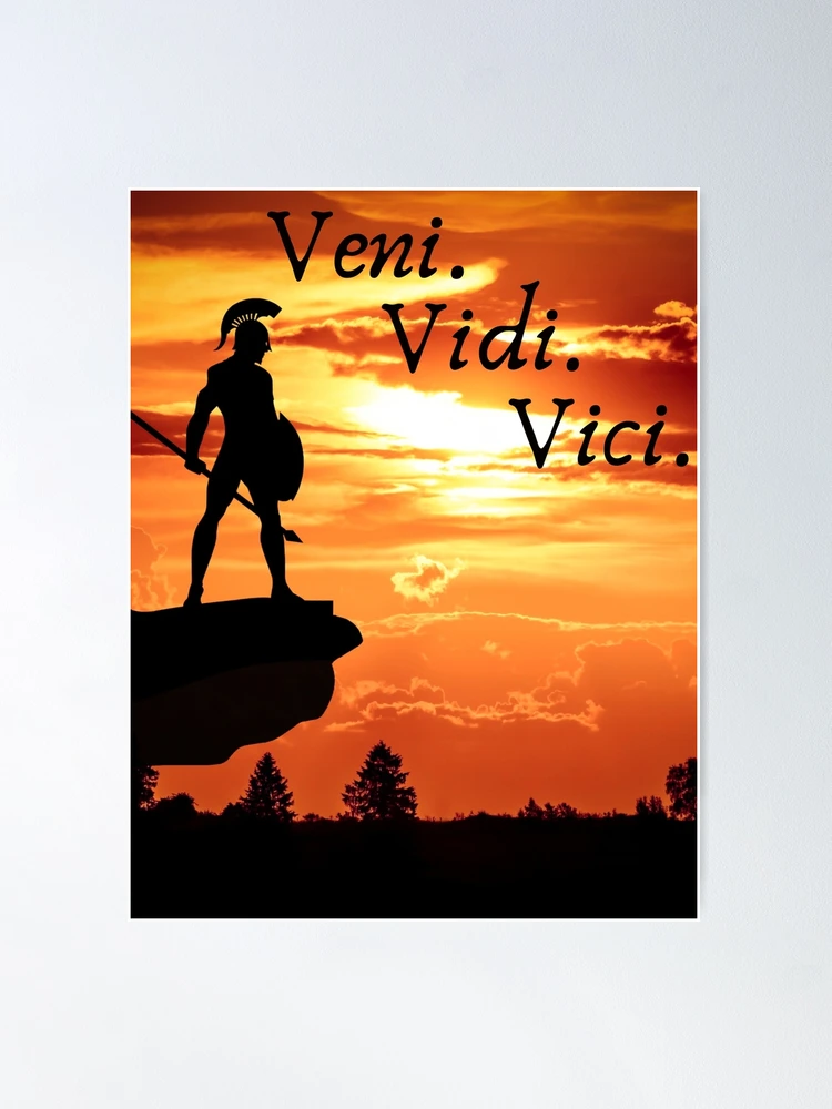 Veni, Vidi, Vici - Dictionary Definition Poster for Sale by StoicWisdom