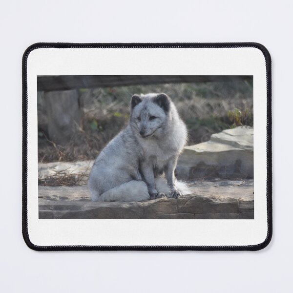 Item preview, Arctic Fox designed and sold by MarieDarcy97.