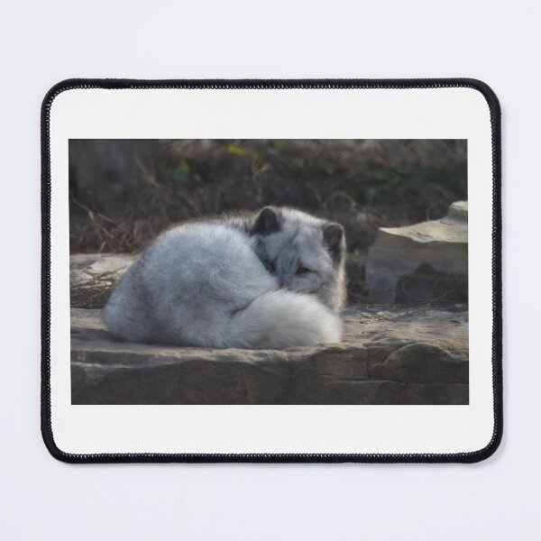 Item preview, Arctic Fox designed and sold by MarieDarcy97.