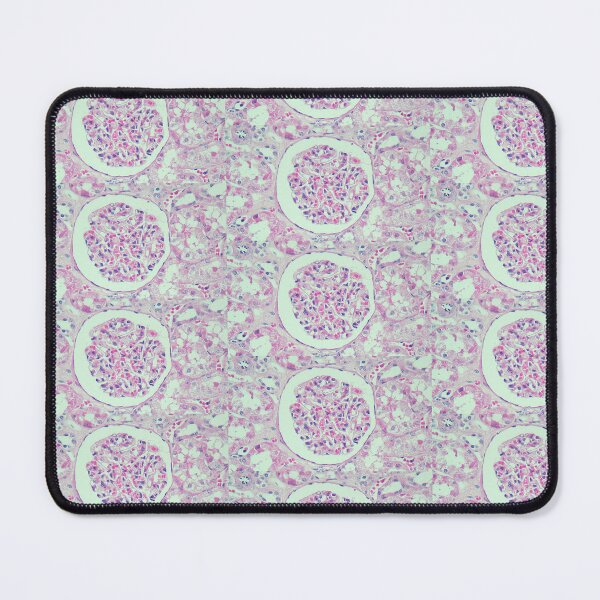 Item preview, Renal corpuscle designed and sold by Damien Harkin.