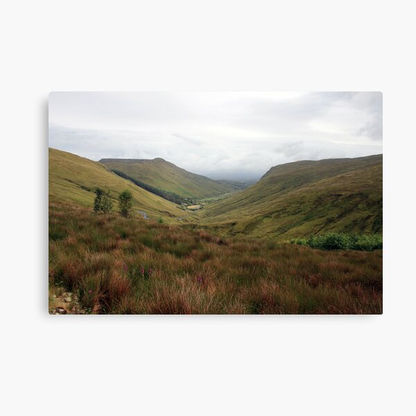 Rural Donegal Canvas Print