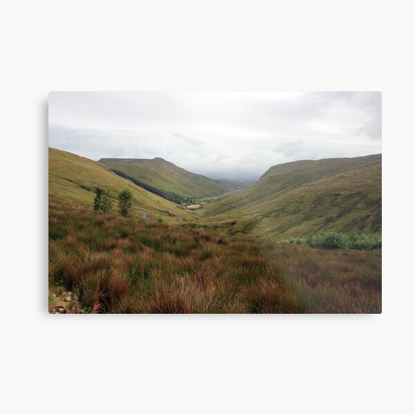 Rural Donegal Metal Print