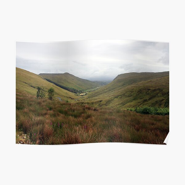 Rural Donegal Poster
