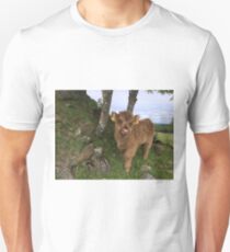 Scottish Highland Cattle Calf 1442 Unisex T-Shirt