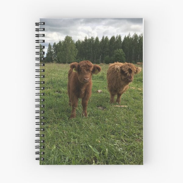 Item preview, Scottish Highland Cattle Calves 1444 designed and sold by SaarelaHighland.