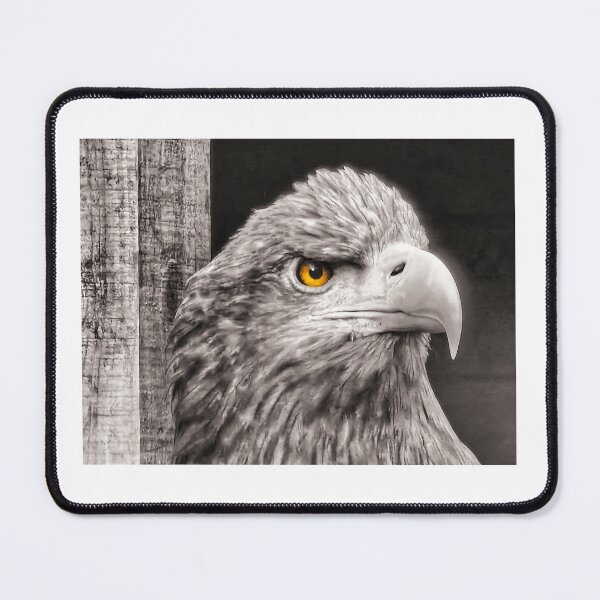 Item preview, White tailed eagle designed and sold by DaveEssonPhotos.