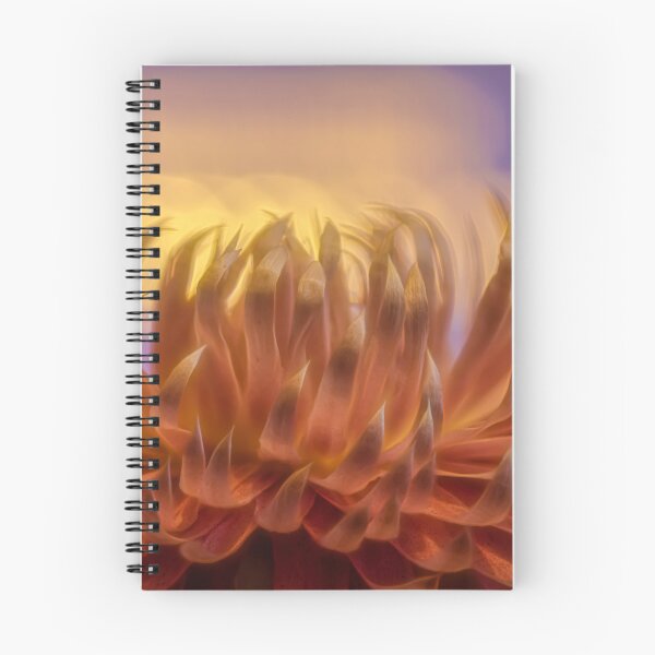 Item preview, Strawflower designed and sold by Veikko  Suikkanen.