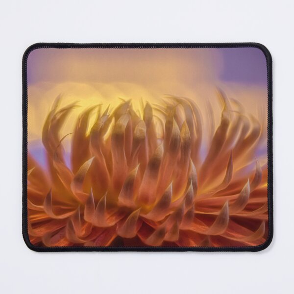 Item preview, Strawflower designed and sold by Veikko  Suikkanen.