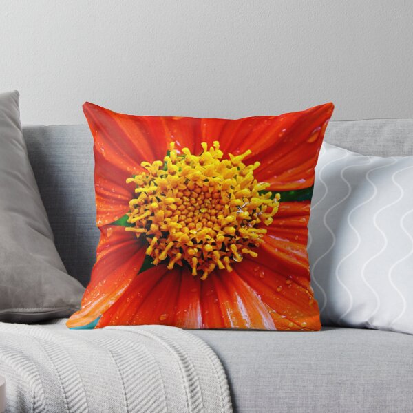 Lush Decor Julie Tassel Decorative Pillow Single - Citrus