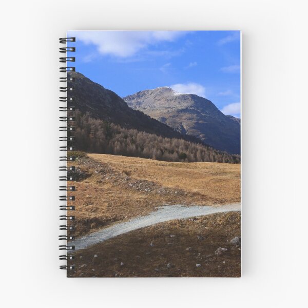 Item preview, Bernina pass designed and sold by annalisa56.