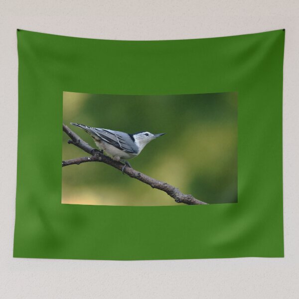 Item preview, White Breasted Nuthatch designed and sold by Debbie Oppermann.