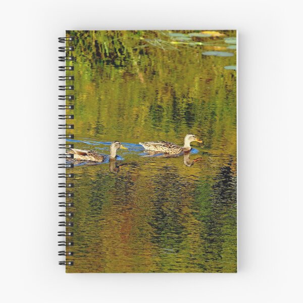 Item preview, Autumn Feathers And Rippled Reflections designed and sold by Debbie Oppermann.