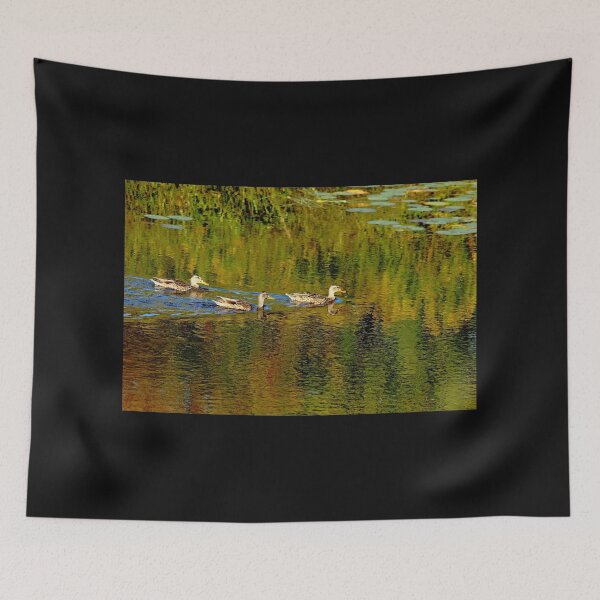 Item preview, Autumn Feathers And Rippled Reflections designed and sold by Debbie Oppermann.