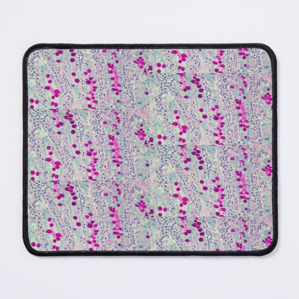 Item preview, Colon - PAS stain designed and sold by Damien Harkin.