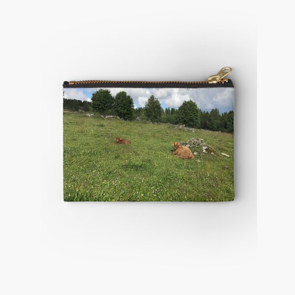 Item preview, Scottish Highland Cattle Calves 1449 designed and sold by SaarelaHighland.