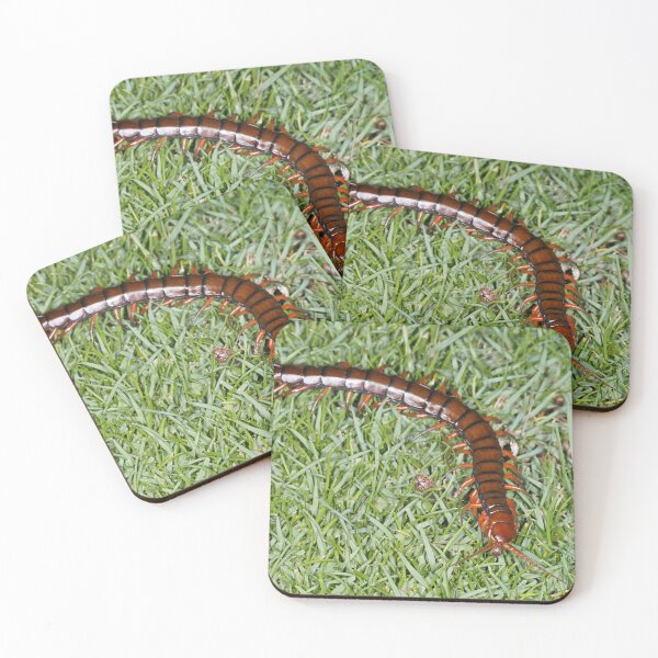 Item preview, Hawaiian centipede designed and sold by SDym Photography.