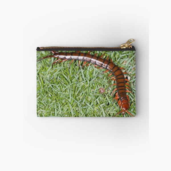 Item preview, Hawaiian centipede designed and sold by SDym Photography.