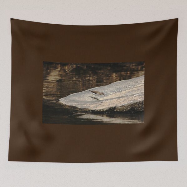 Item preview, Foraging Sandpiper designed and sold by Debbie Oppermann.