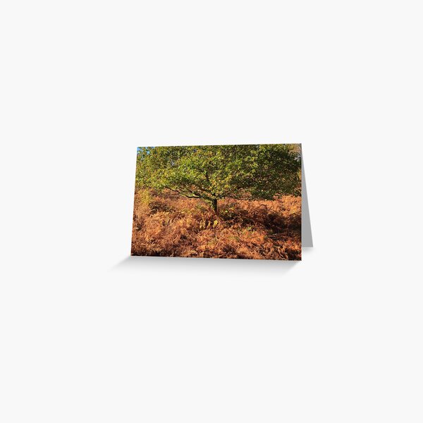 Autumn Tree and Ferns Greeting Card