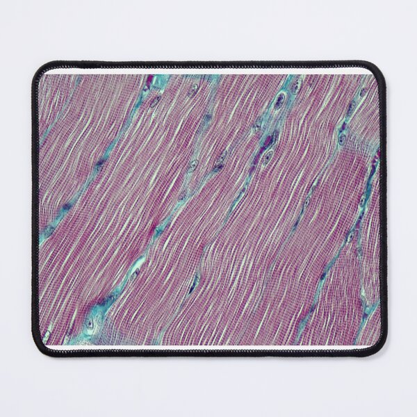 Item preview, Skeletal muscle - Masson's Trichrome designed and sold by Damien Harkin.