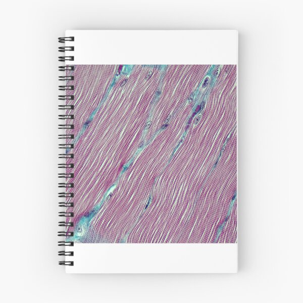 Item preview, Skeletal muscle - Masson's Trichrome designed and sold by Damien Harkin.