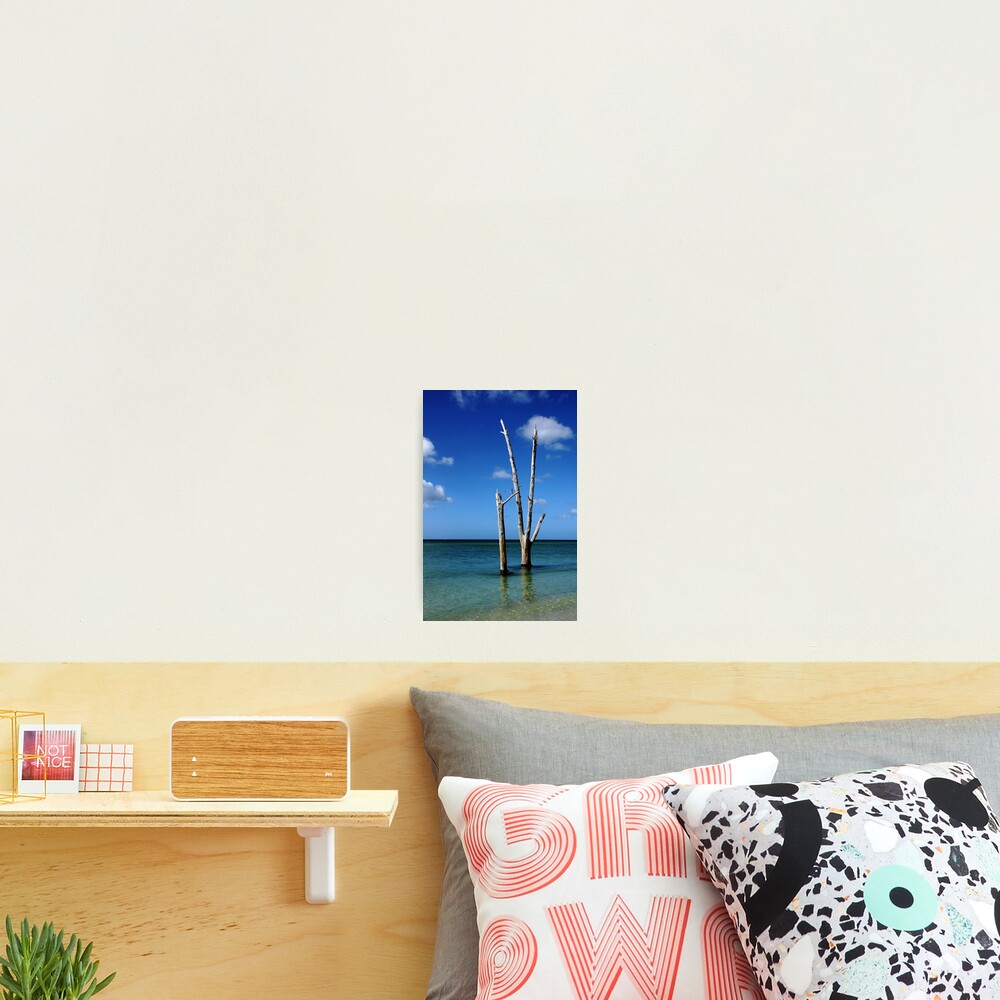 Item preview, Photographic Print designed and sold by debop.