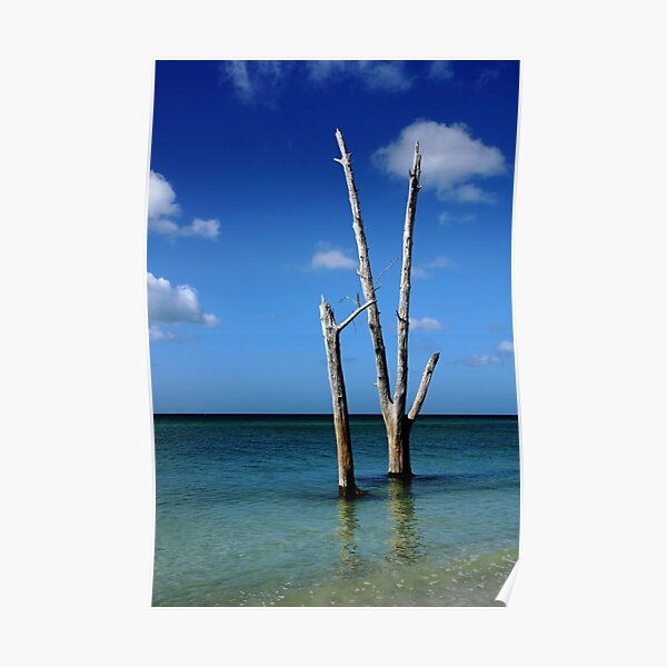 Stranded Poster