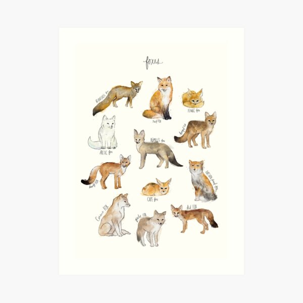 Art Print