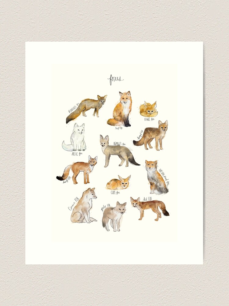 Thumbnail 2 of 3, Art Print, Foxes designed and sold by AmyHamilton.