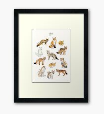 Foxes Framed Print