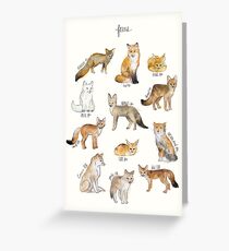Foxes Greeting Card