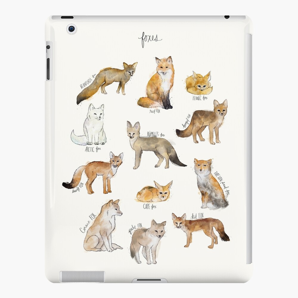 Foxes iPad Case & Skin