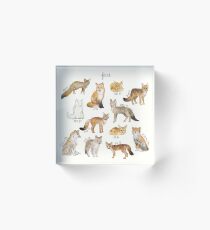 Foxes Acrylic Block