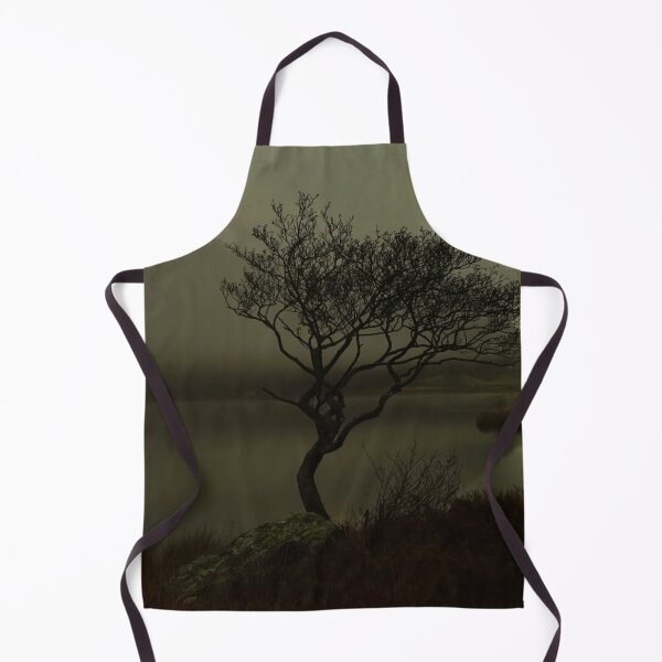 Item preview, MIST OVER LLYN DINAS LONE TREE designed and sold by NICK COBURN PHILLIPS.