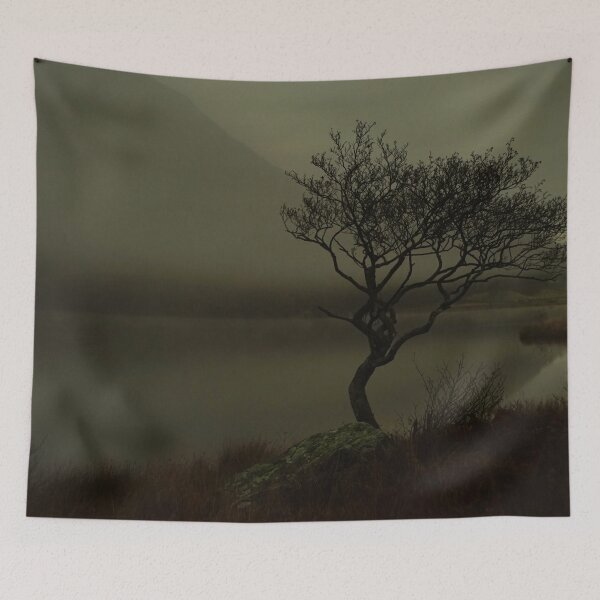 Item preview, MIST OVER LLYN DINAS LONE TREE designed and sold by NICK COBURN PHILLIPS.