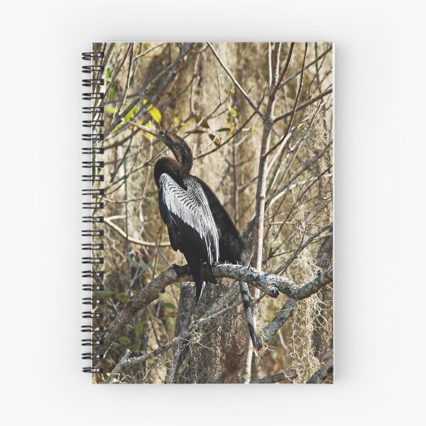 Item preview, Anhinga designed and sold by Debbie Oppermann.