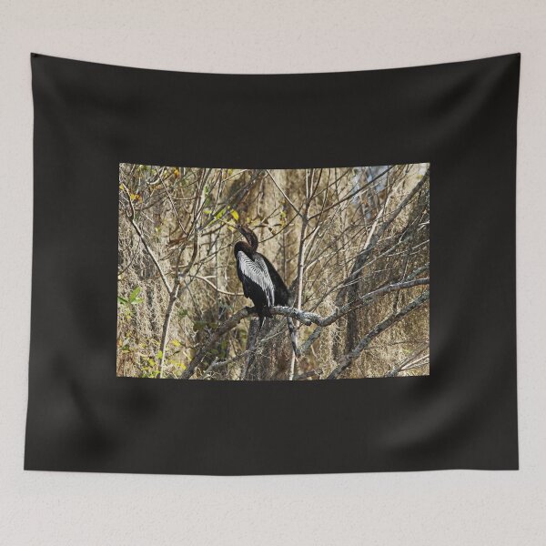 Item preview, Anhinga designed and sold by Debbie Oppermann.