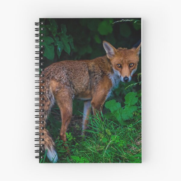 Item preview, Foxy designed and sold by Chris Lord's Pixielated Pixels.