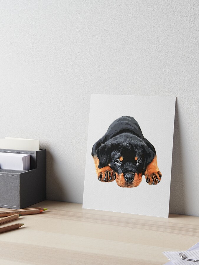 Why the Dots Above Rottie's Eyes?