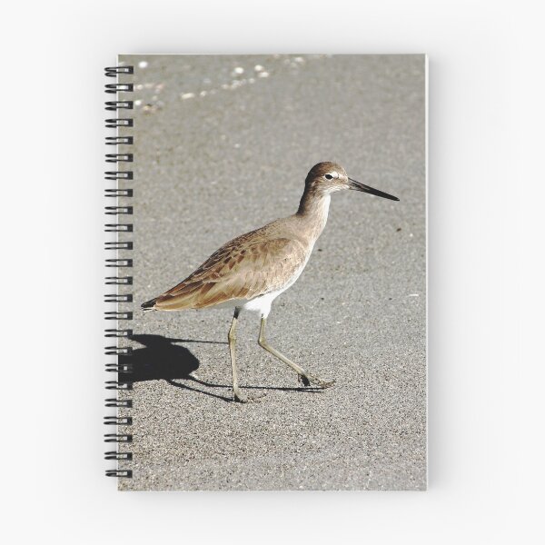 Item preview, Beach Willet designed and sold by Debbie Oppermann.