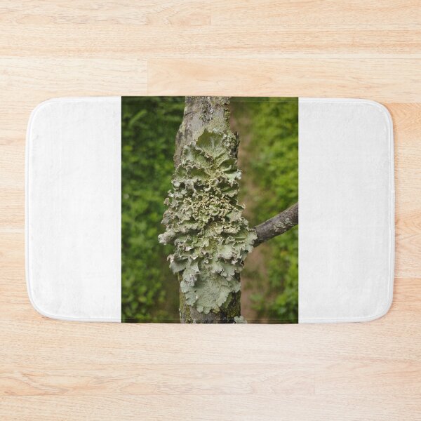Item preview, Lichen on wood #1 designed and sold by Deathplant.
