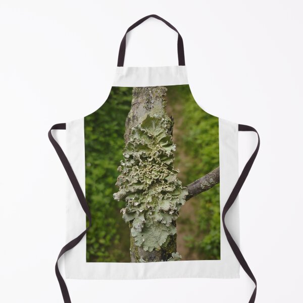 Item preview, Lichen on wood #1 designed and sold by Deathplant.