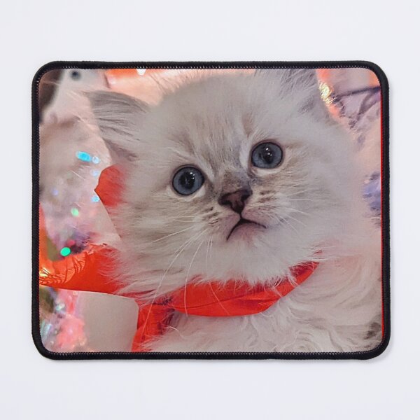 Item preview, Lynx ragdoll kitten designed and sold by Fluffycat2020.