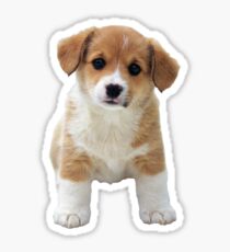 A Little Puppy Sticker