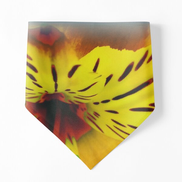 Flower Pops Out Pet Bandana