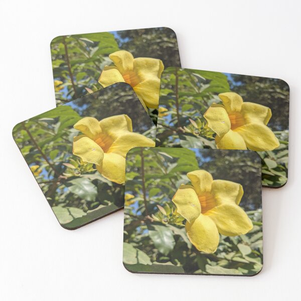 Item preview, Allamanda designed and sold by TheRealDanniX.